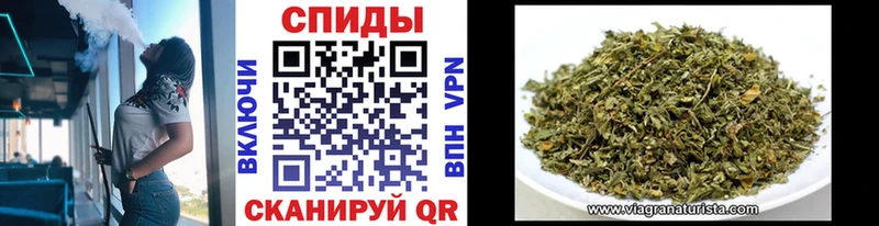 дарк нет Telegram  omg ССЫЛКА  БУТИРАТ 1.4BDO  Нефтекумск  где найти  